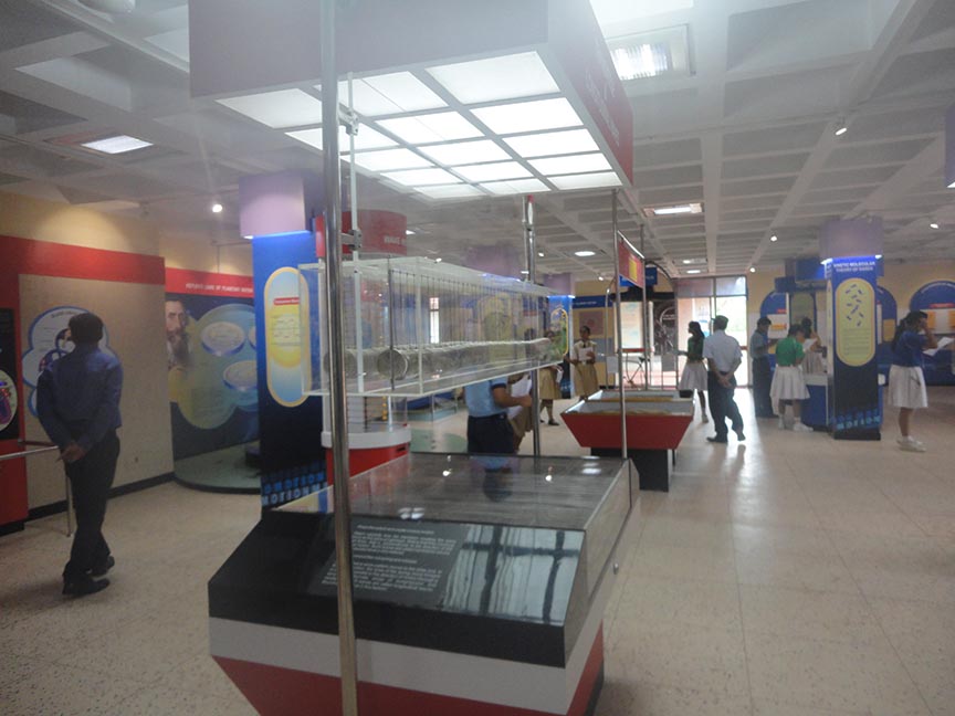 Motion Gallery Exhibit