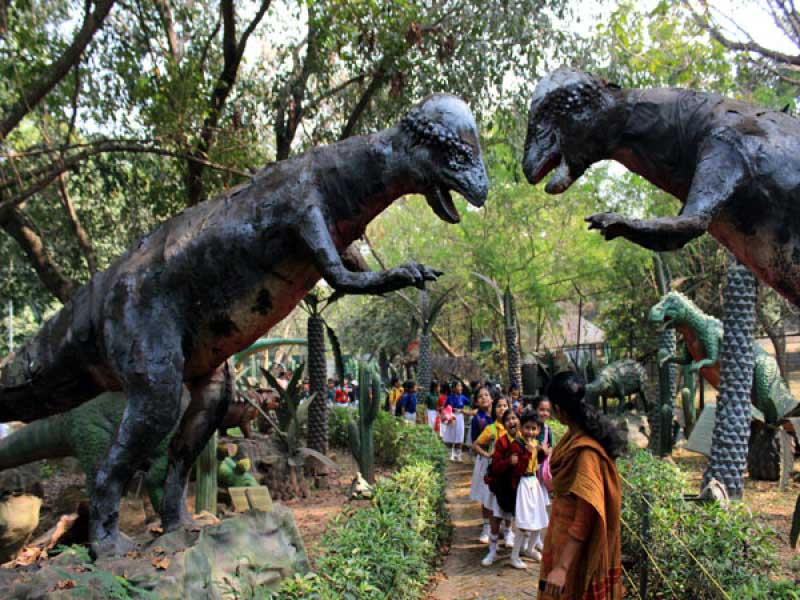 Dinosaur Park Exhibit