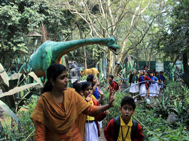 Dinosaur Park Exhibit